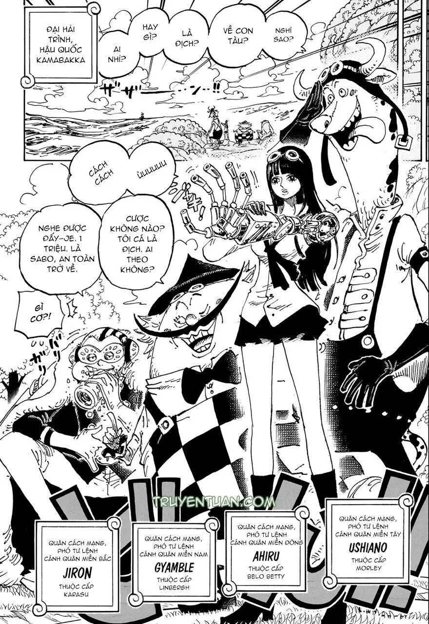 One Piece chương 1082, trang 11