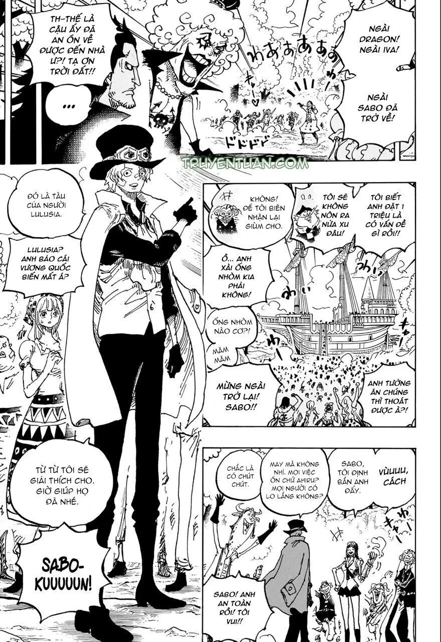 One Piece chương 1082, trang 12