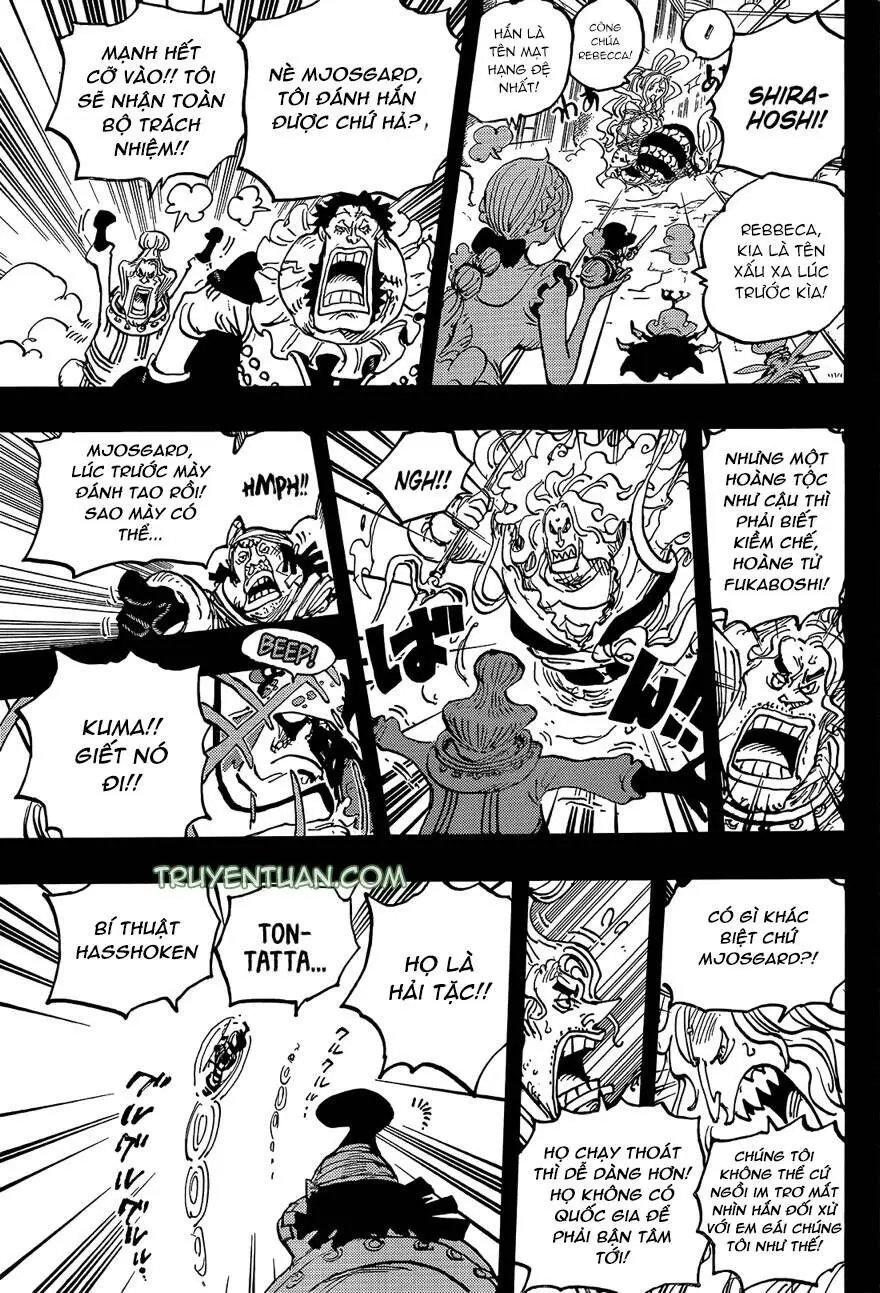 One Piece chương 1084, trang 13
