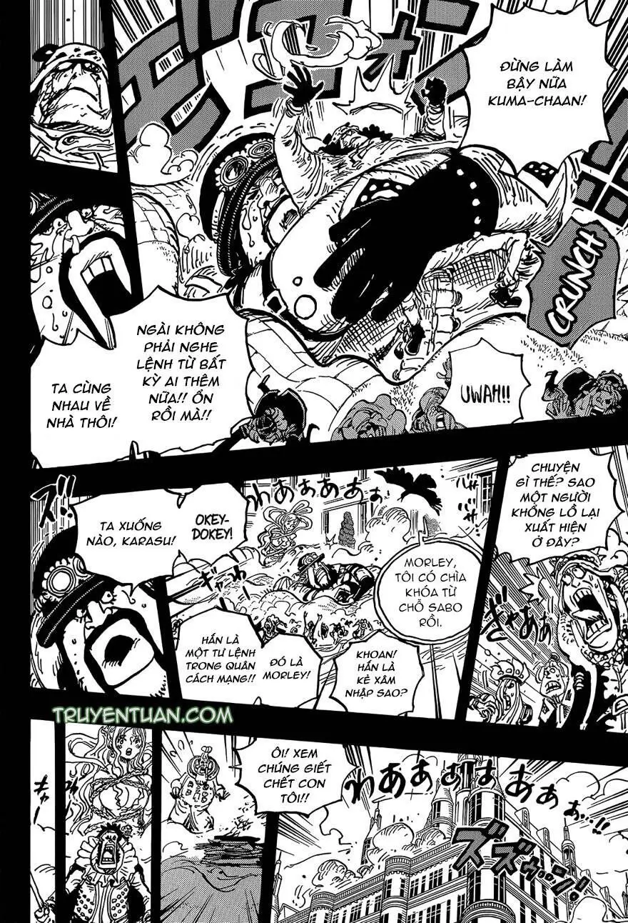 One Piece chương 1084, trang 15