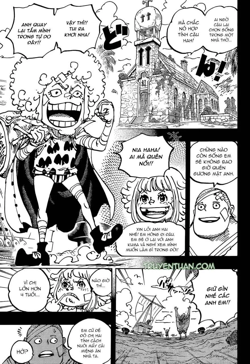 One Piece chương 1096, trang 13