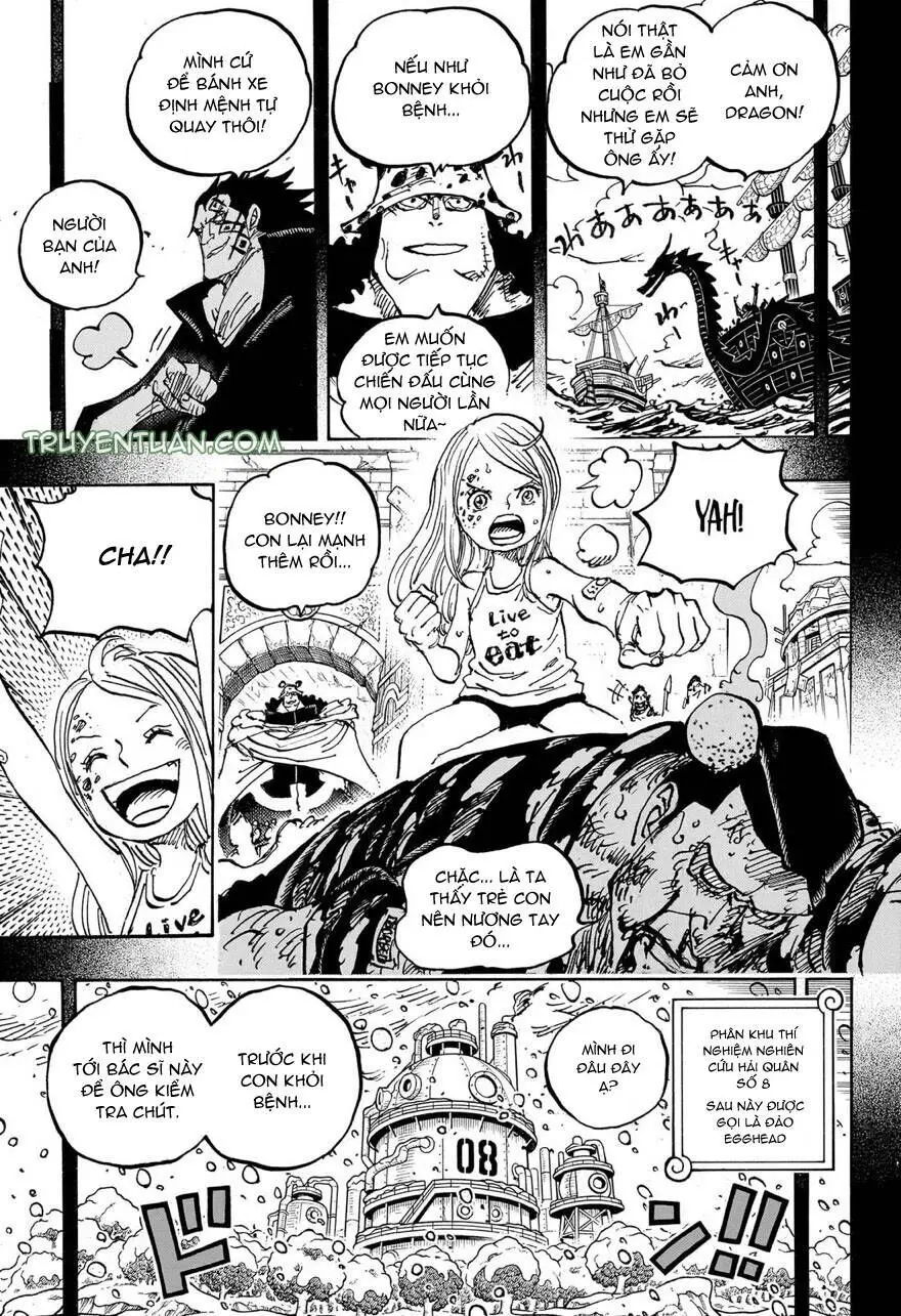 One Piece chương 1099, trang 14