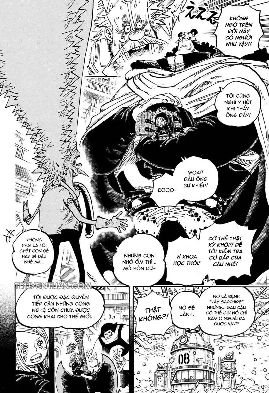 One Piece chương 1099, trang 15
