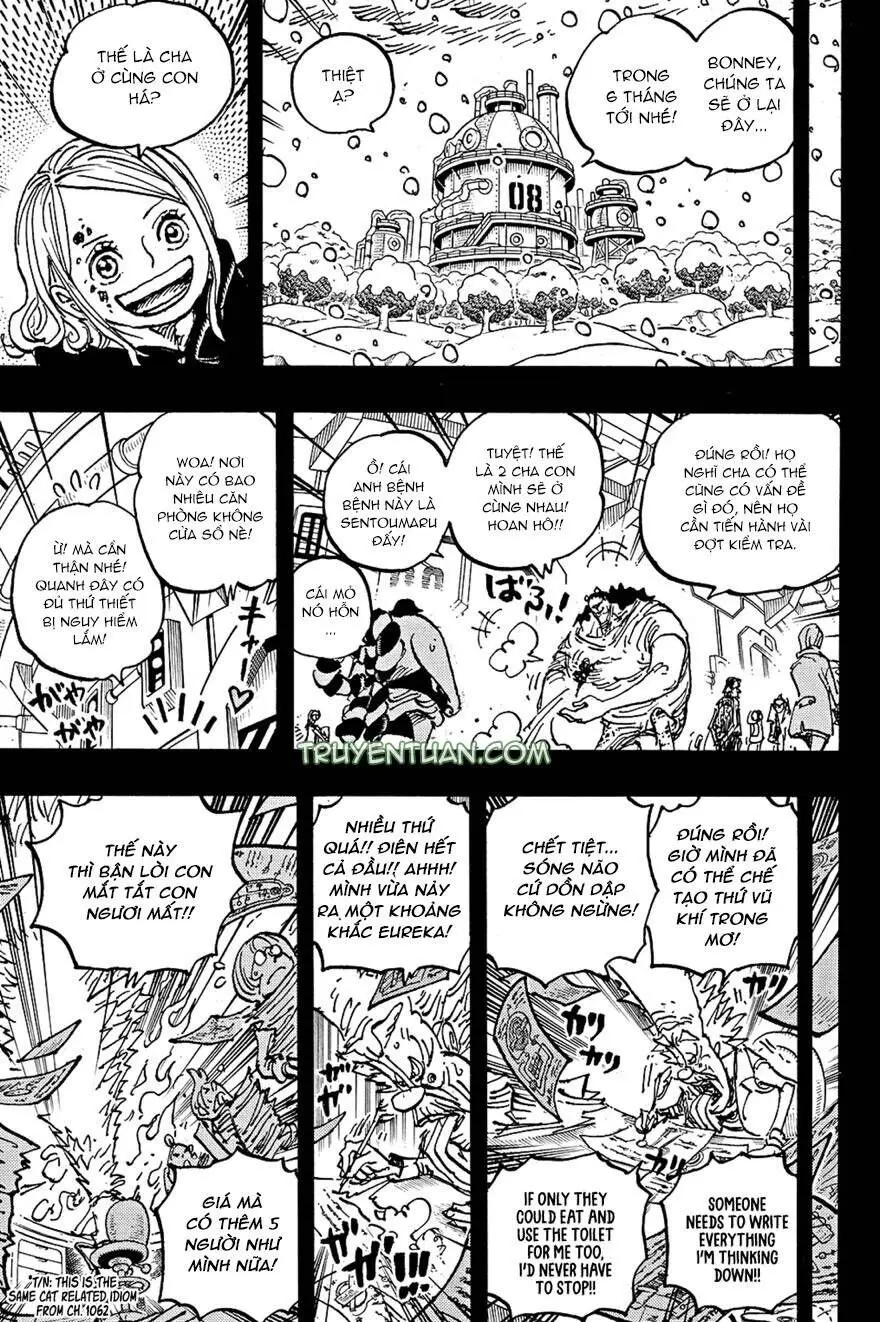 One Piece chương 1100, trang 10