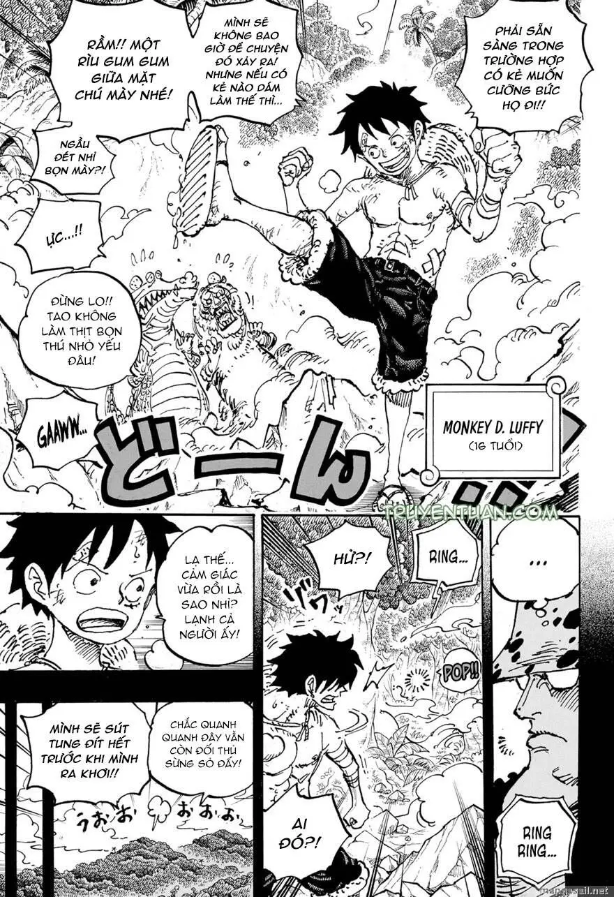 One Piece chương 1101, trang 6