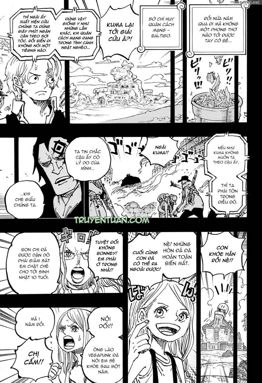 One Piece chương 1101, trang 14