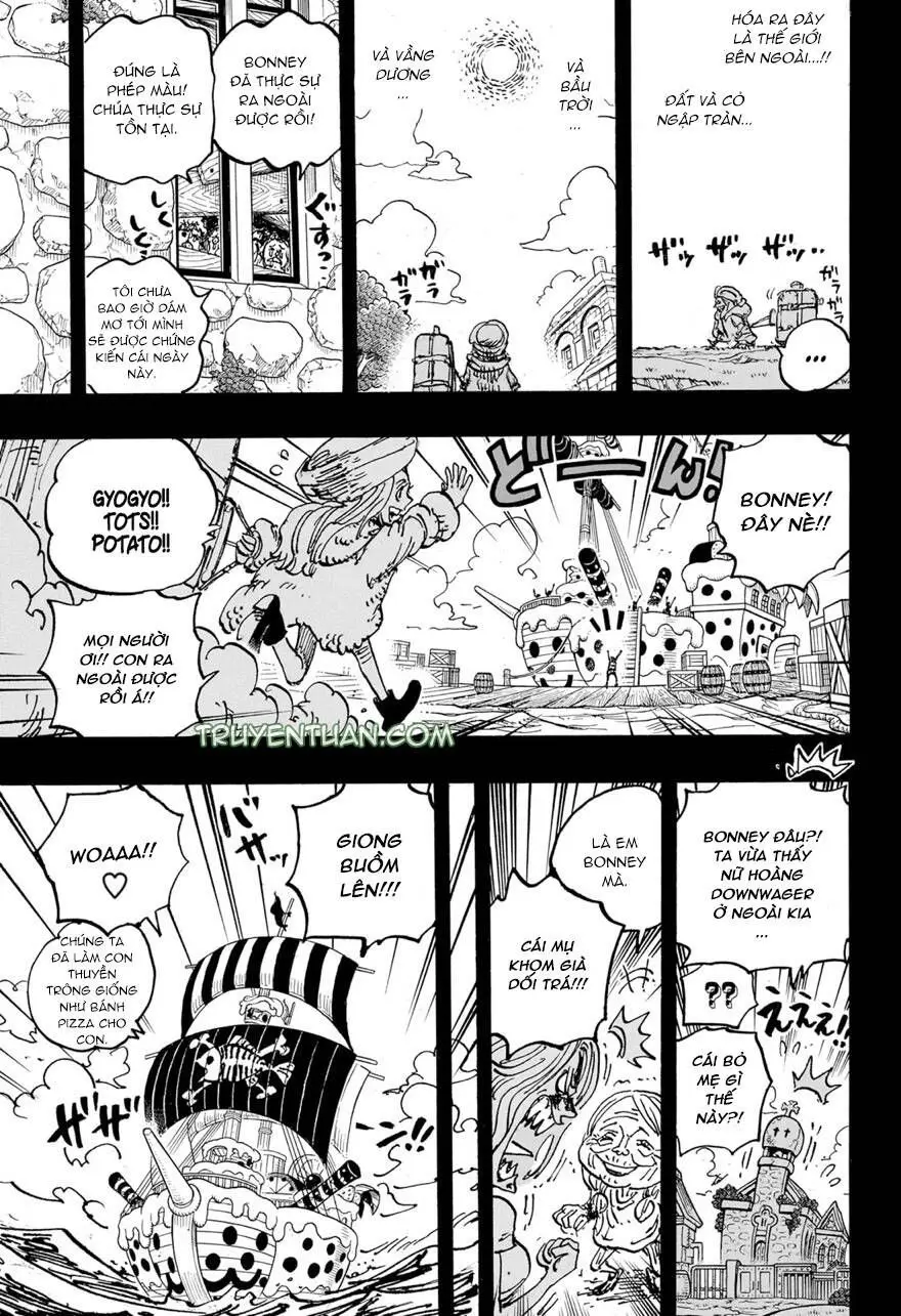 One Piece chương 1101, trang 16