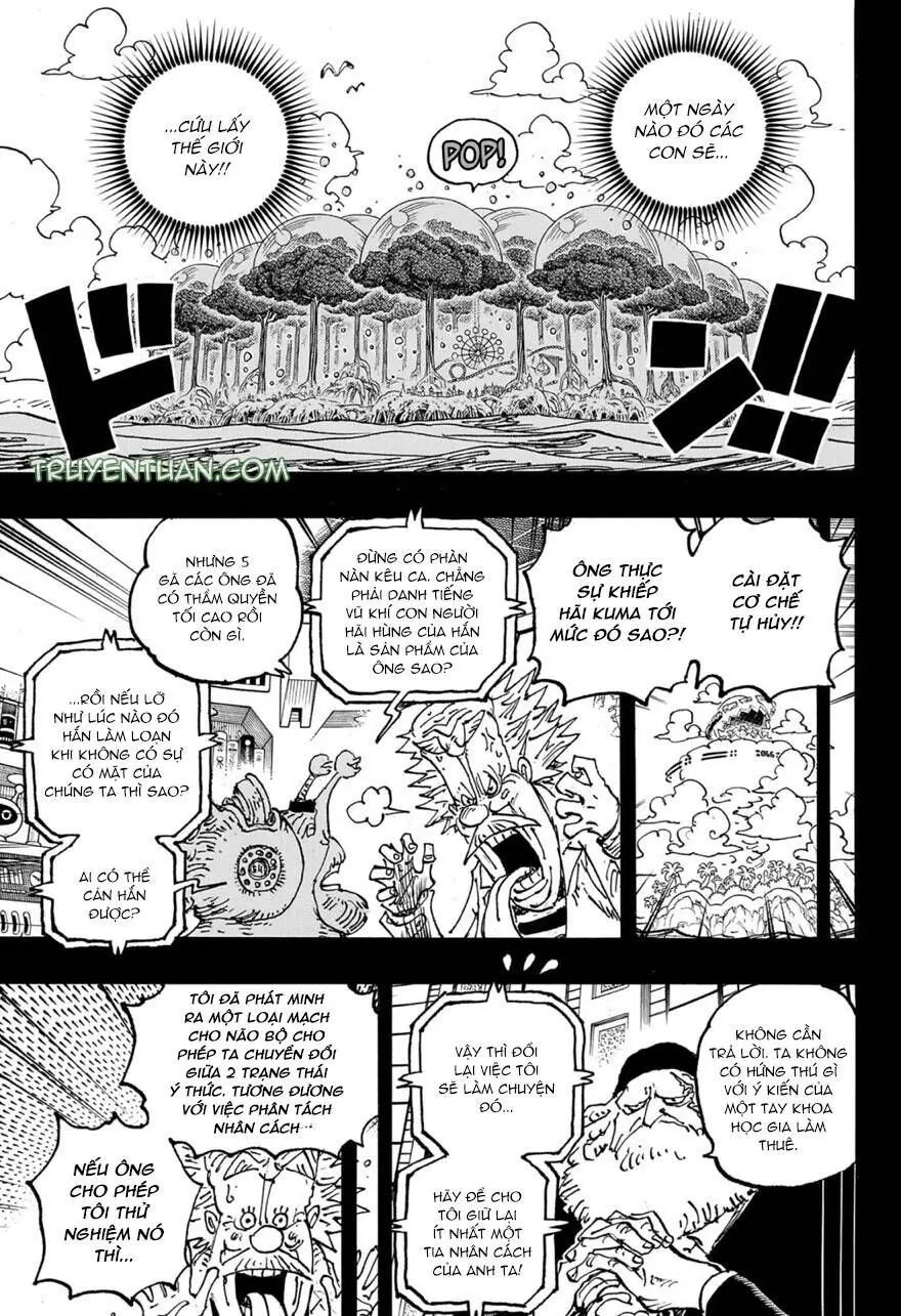 One Piece chương 1102, trang 13