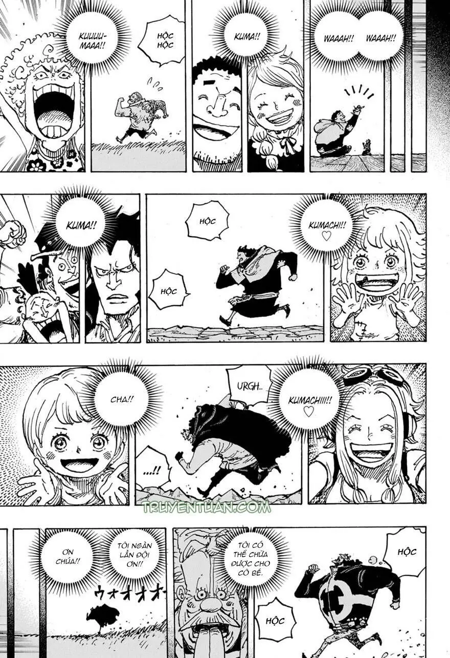 One Piece chương 1102, trang 17