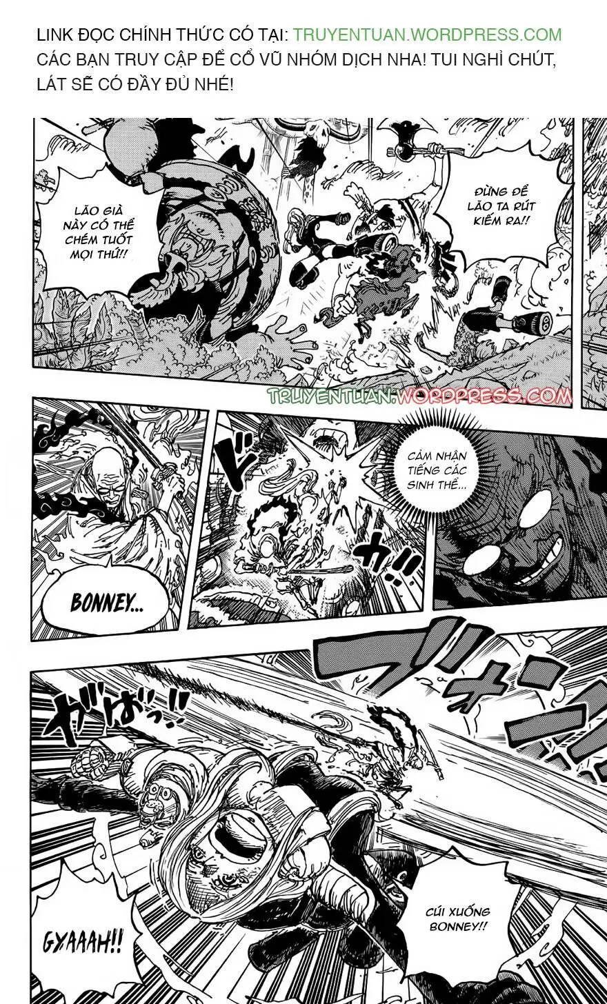 One Piece chương 1115, trang 8