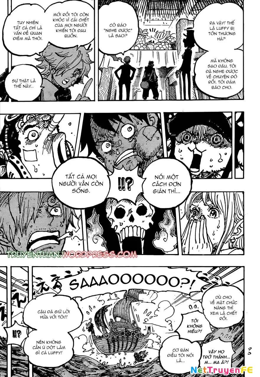 One Piece chương 1124, trang 10