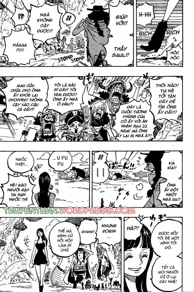 One Piece chương 1133, trang 10
