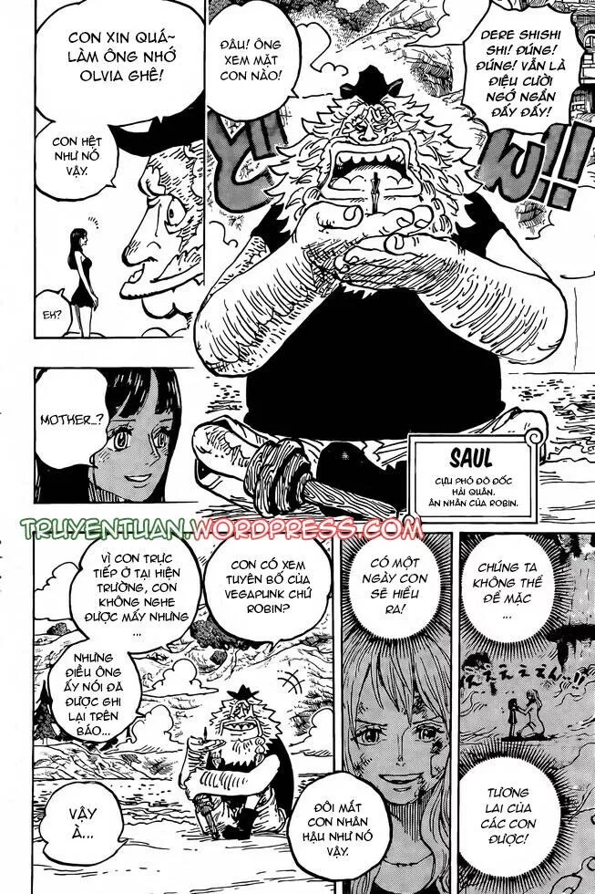 One Piece chương 1133, trang 13