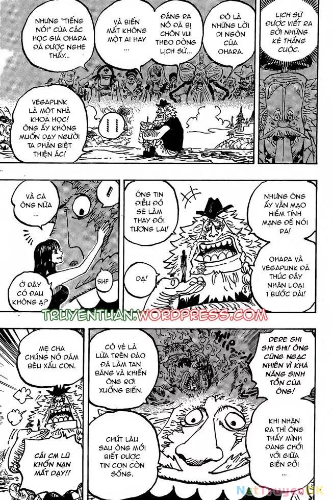 One Piece chương 1133, trang 14