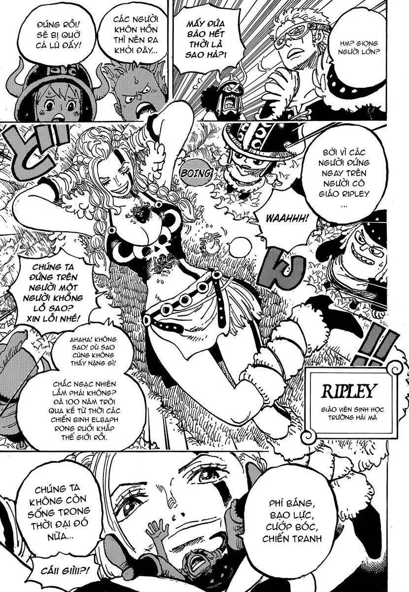 One Piece chương 1134, trang 9