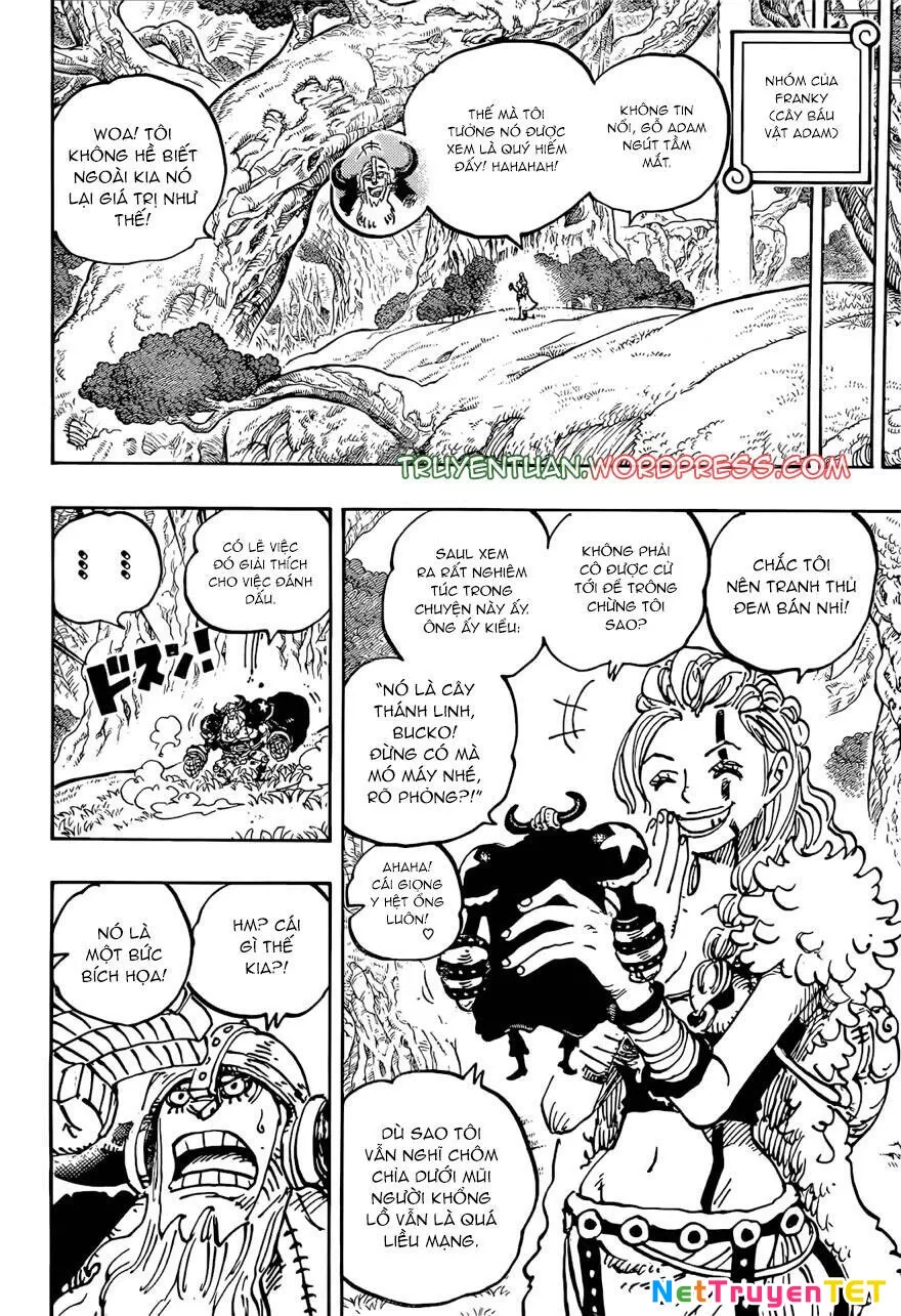 One Piece chương 1138, trang 12