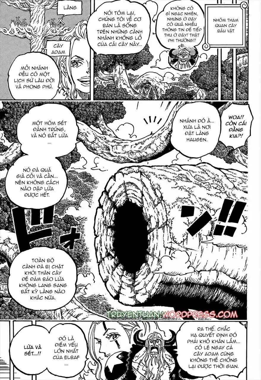 One Piece chương 1141, trang 3