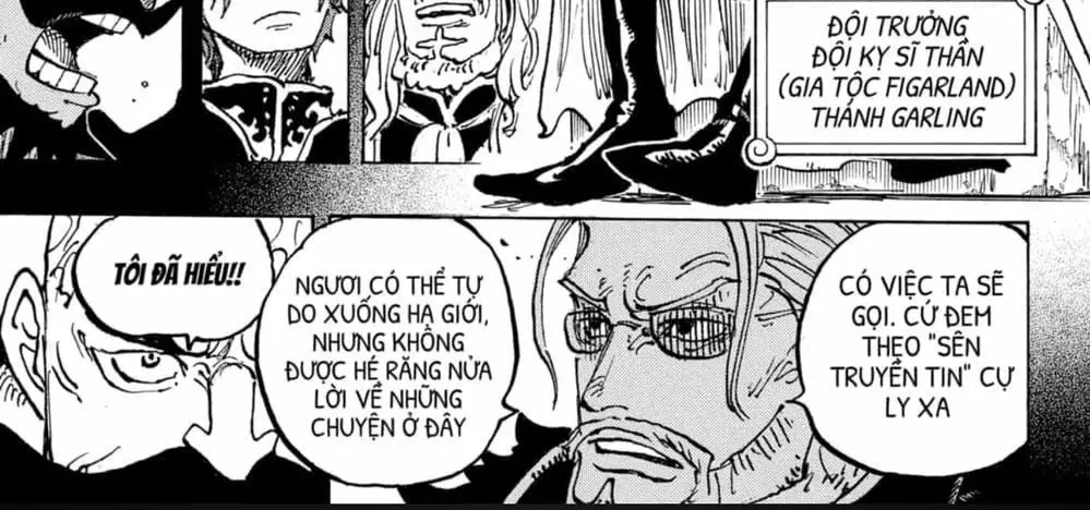One Piece chương 1167, trang 14