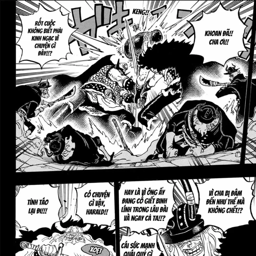 One Piece chương 1169, trang 13