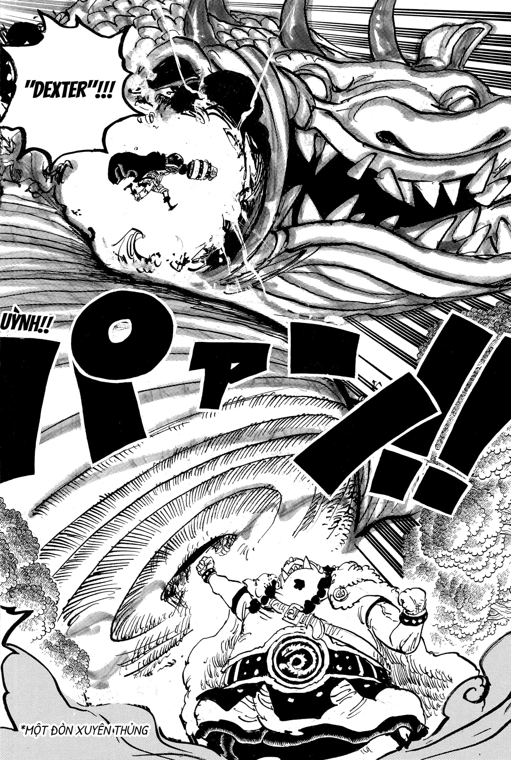 One Piece chương 1176, trang 10