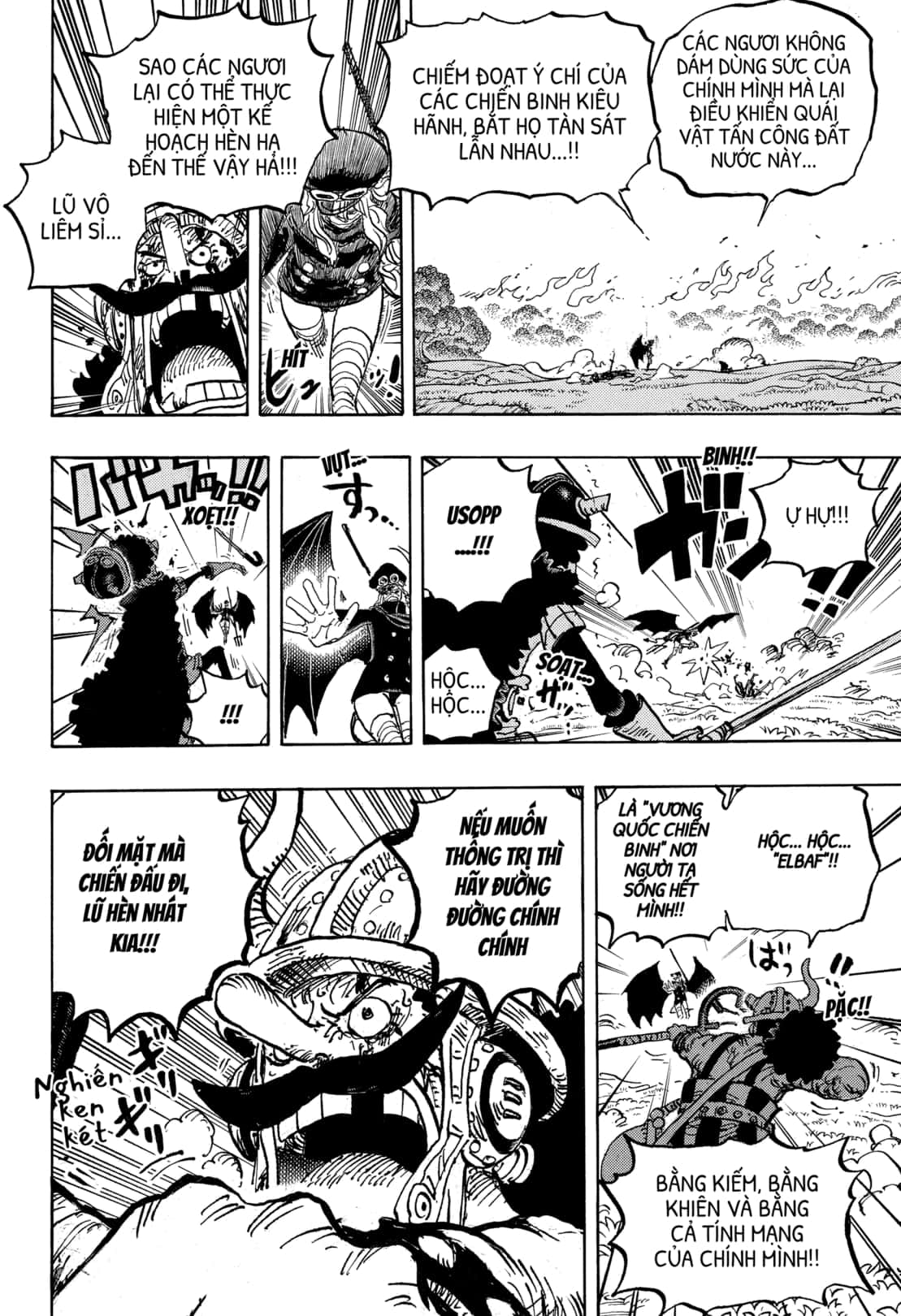 One Piece chương 1177, trang 14