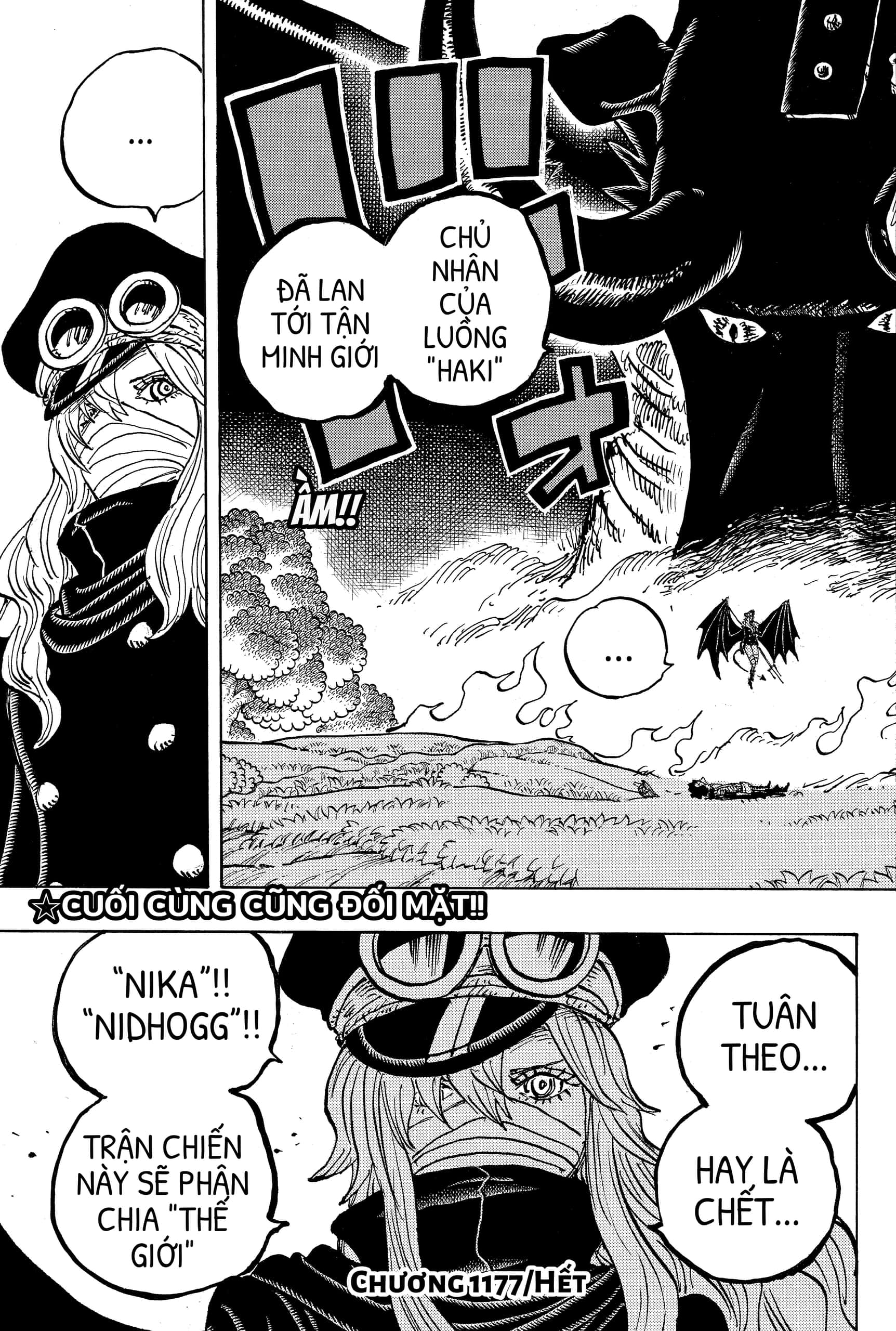 One Piece chương 1177, trang 17