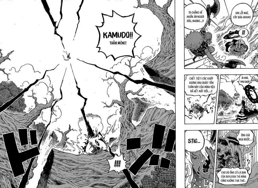 One Piece chương 1190, trang 13