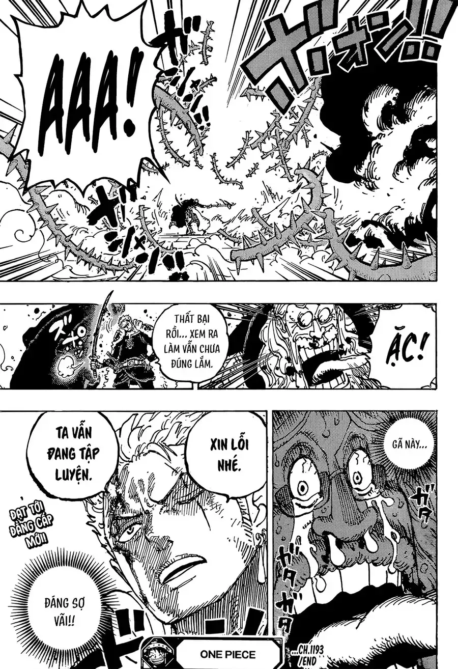 One Piece chương 1193, trang 16