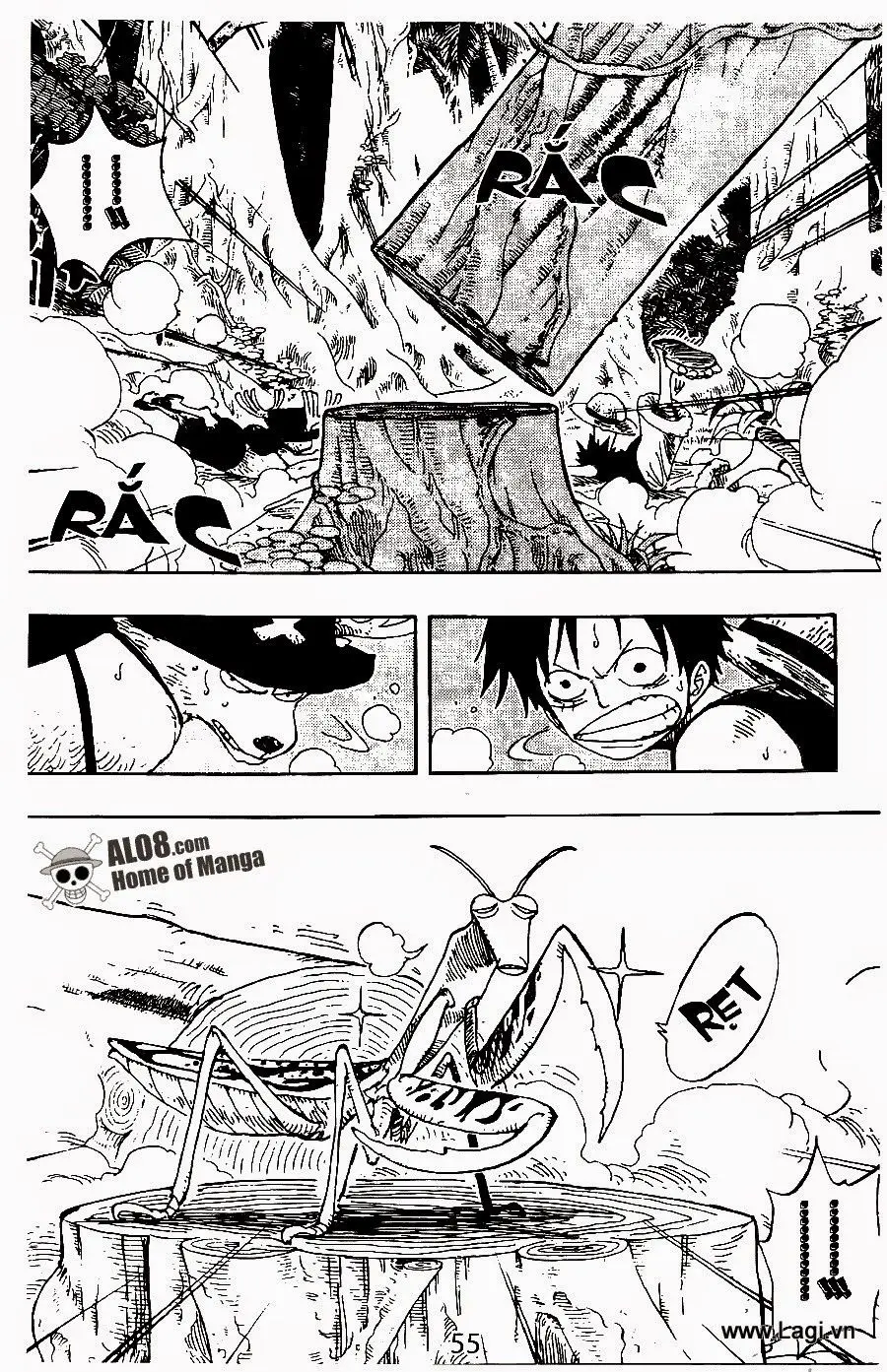 One Piece chương 231, trang 3