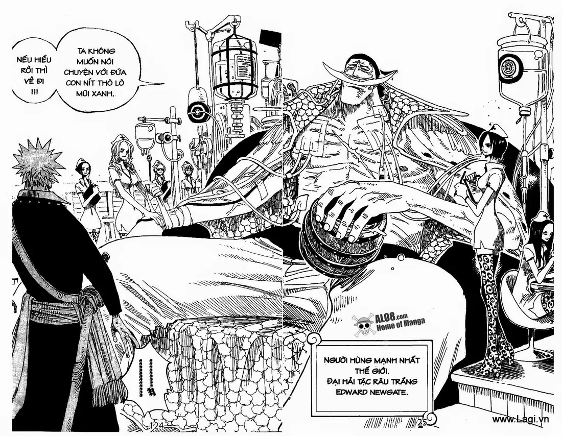 One Piece chương 234, trang 12