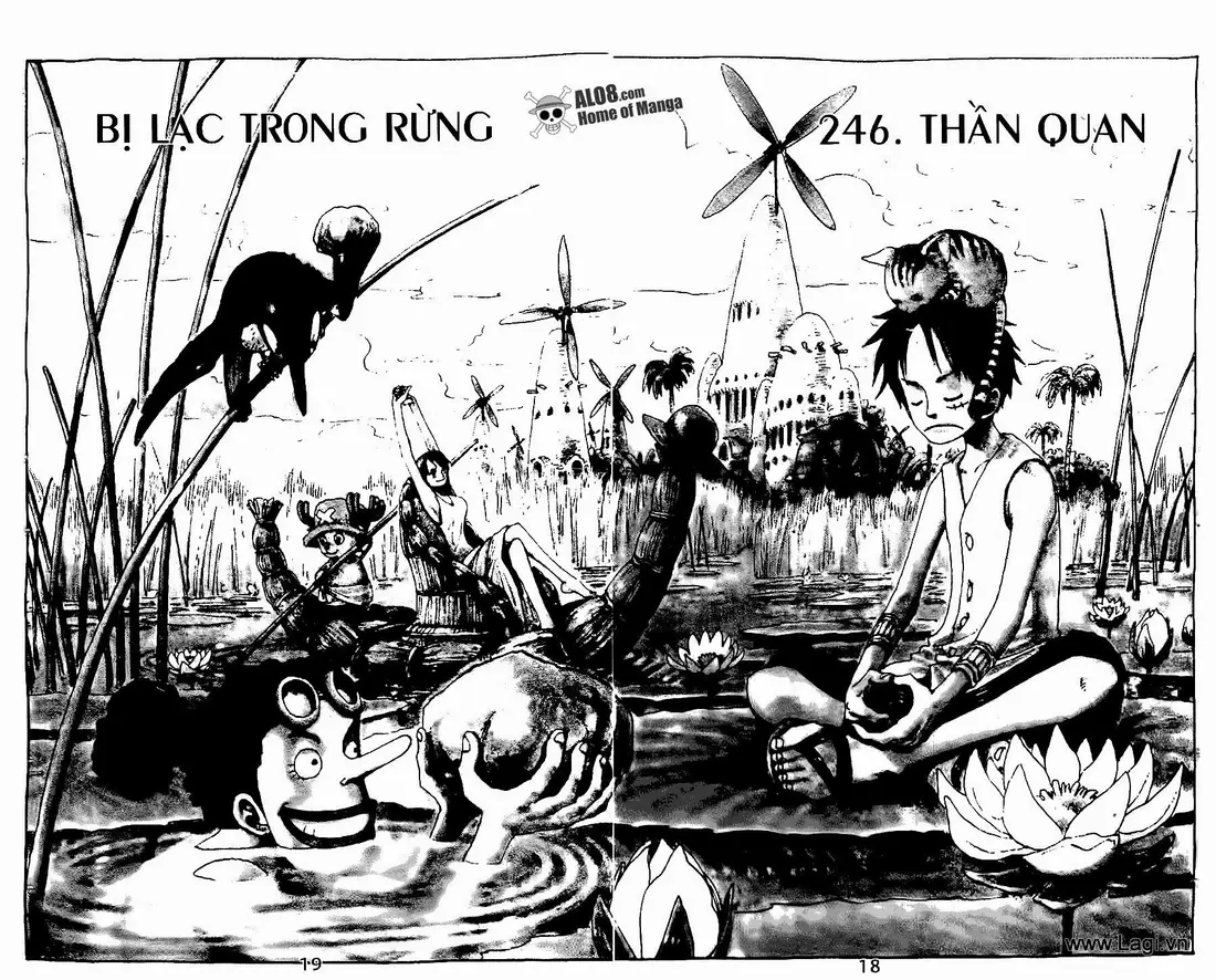One Piece chương 246, trang 1