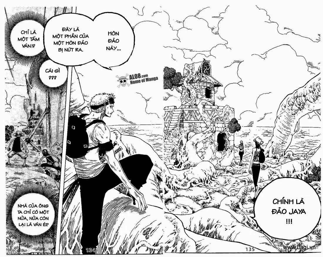 One Piece chương 251, trang 16