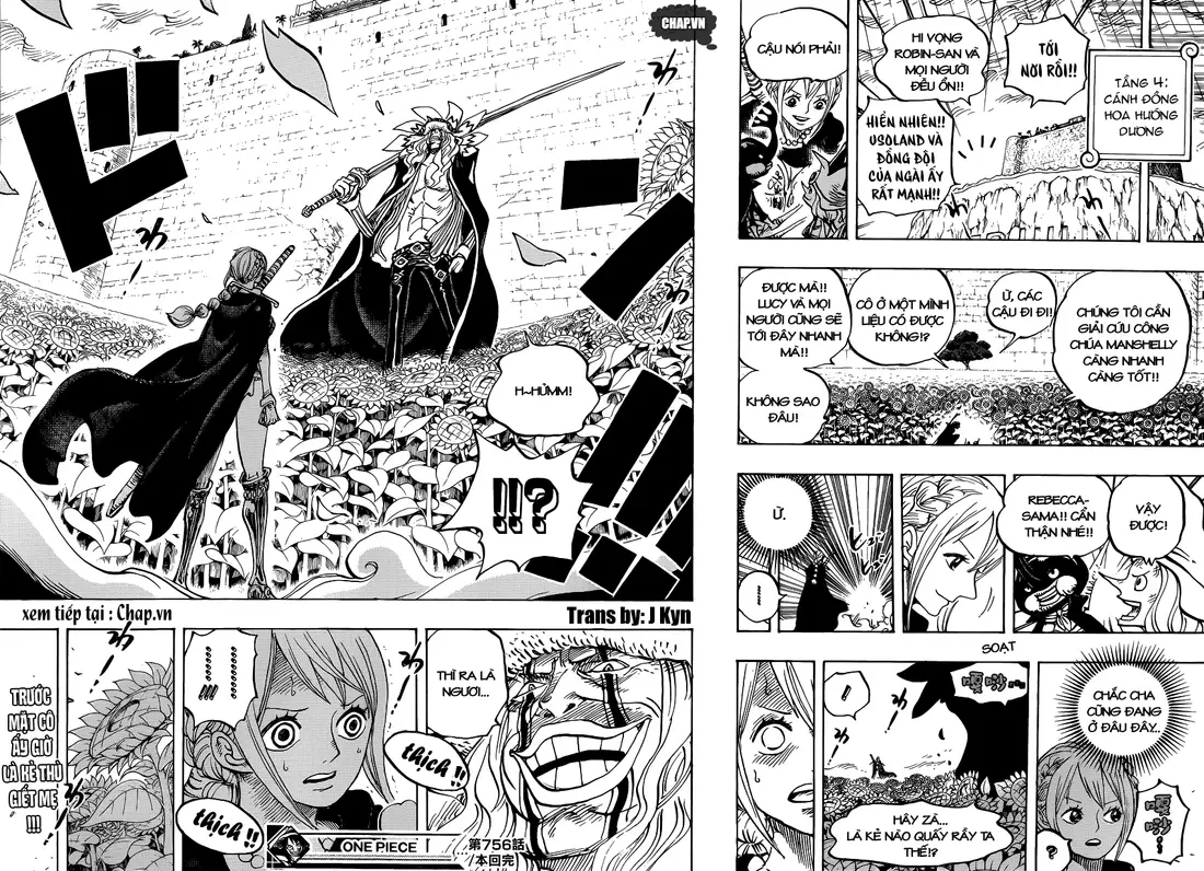 One Piece chương 756, trang 17