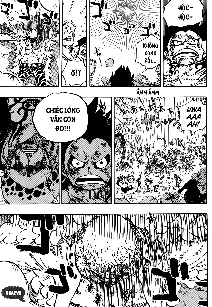 One Piece chương 786, trang 5
