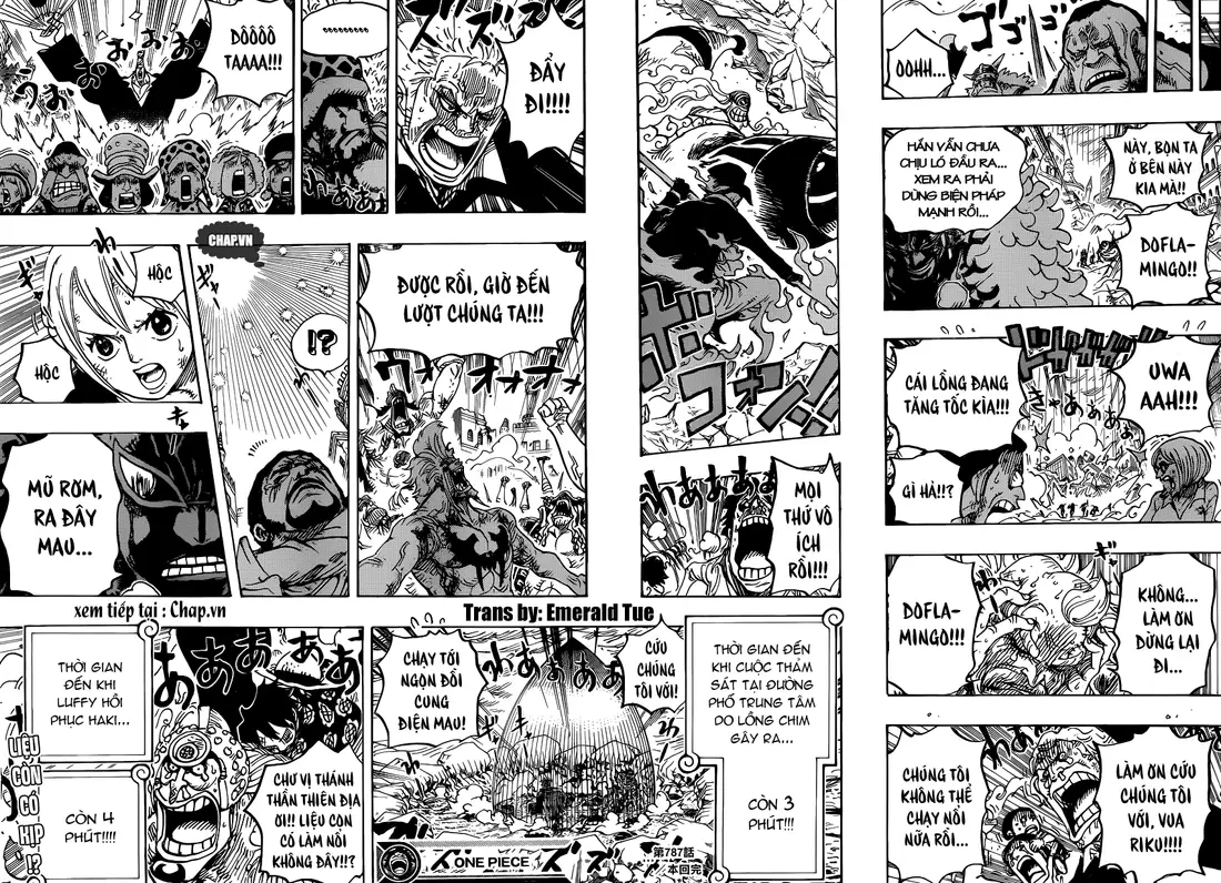 One Piece chương 787, trang 14