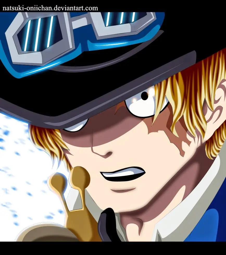 One Piece chương 787, trang 18