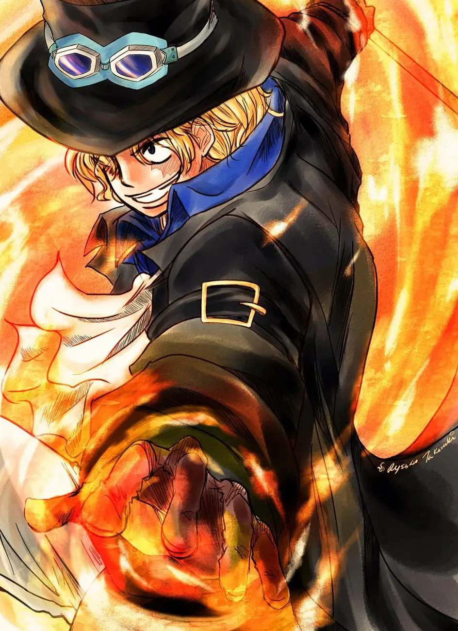 One Piece chương 788, trang 20