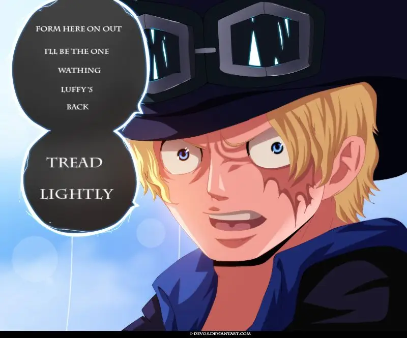 One Piece chương 792, trang 17