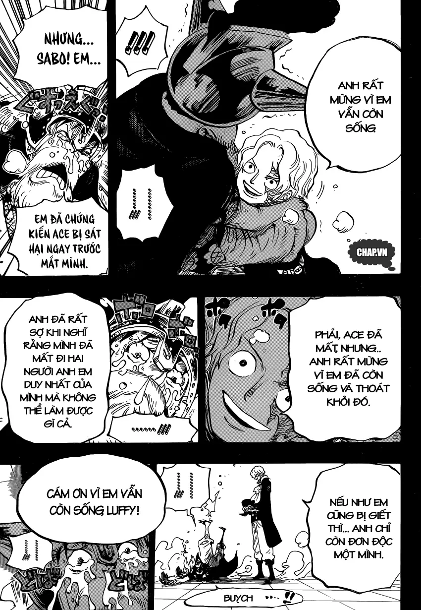 One Piece chương 794, trang 13