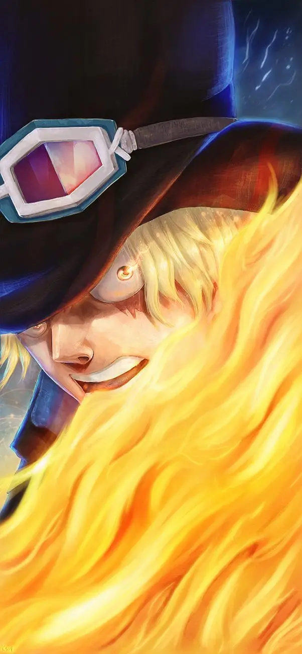 One Piece chương 794, trang 17