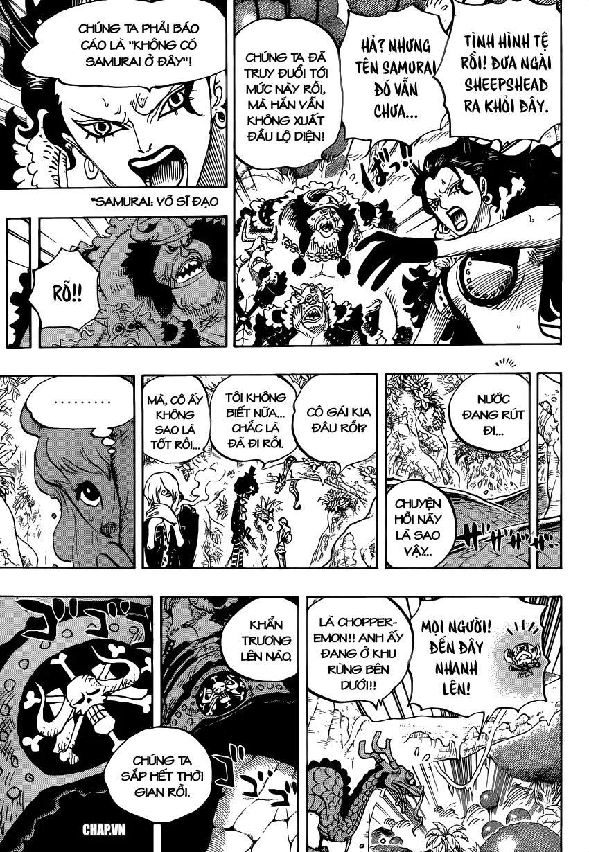 One Piece chương 795, trang 9