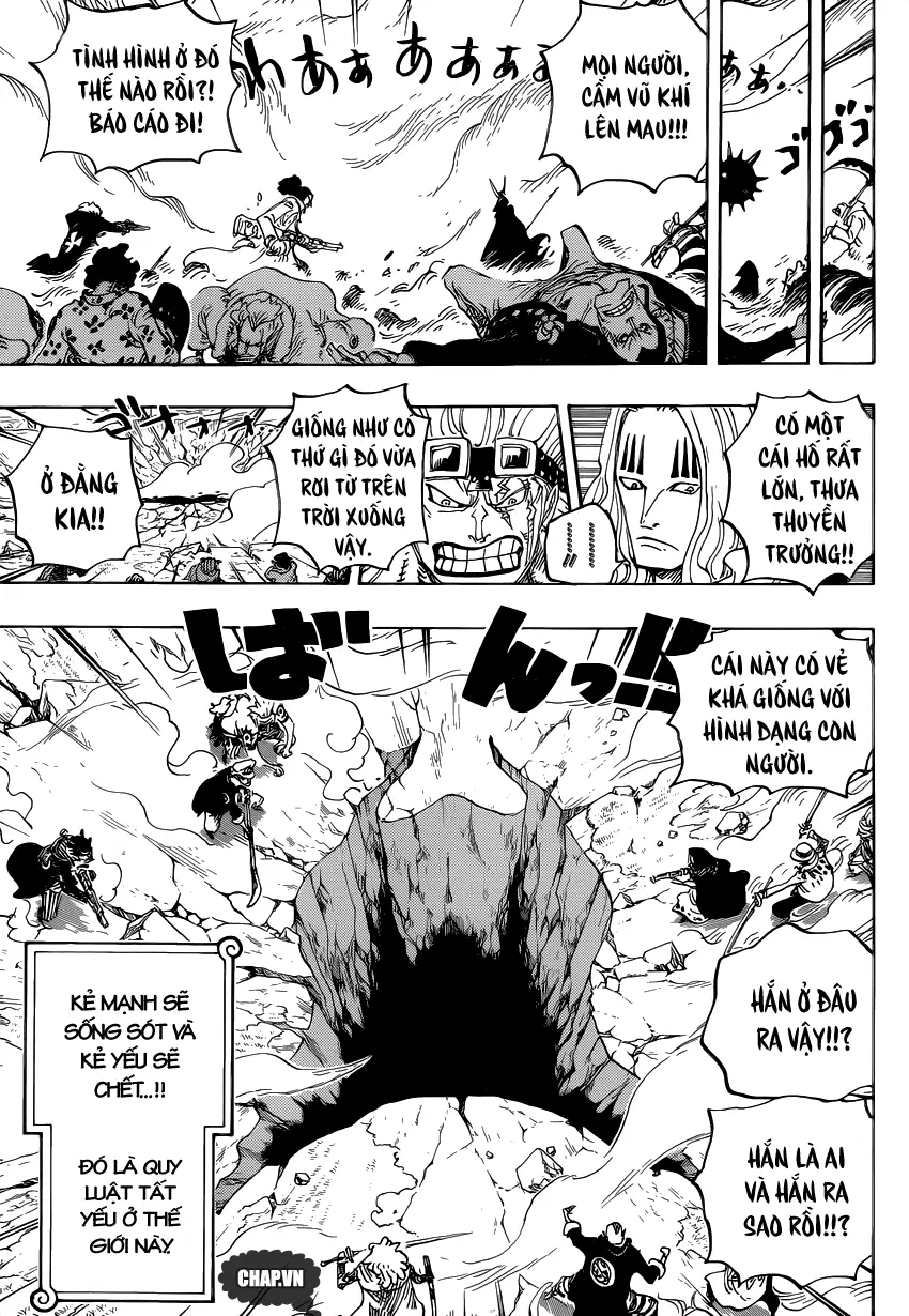 One Piece chương 795, trang 11