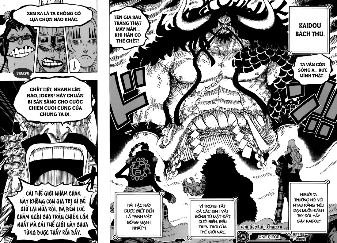 One Piece chương 795, trang 16