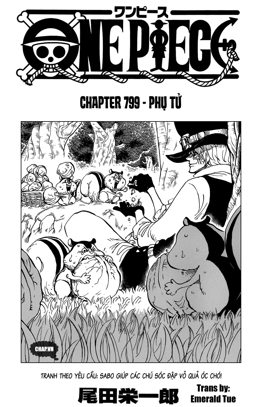 One Piece chương 799, trang 1