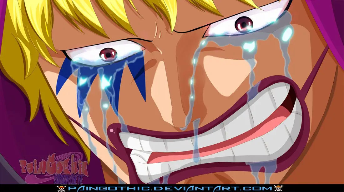 One Piece chương 801, trang 18