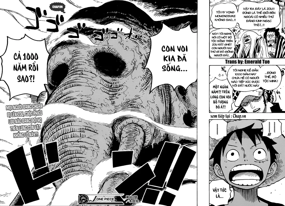 One Piece chương 802, trang 15