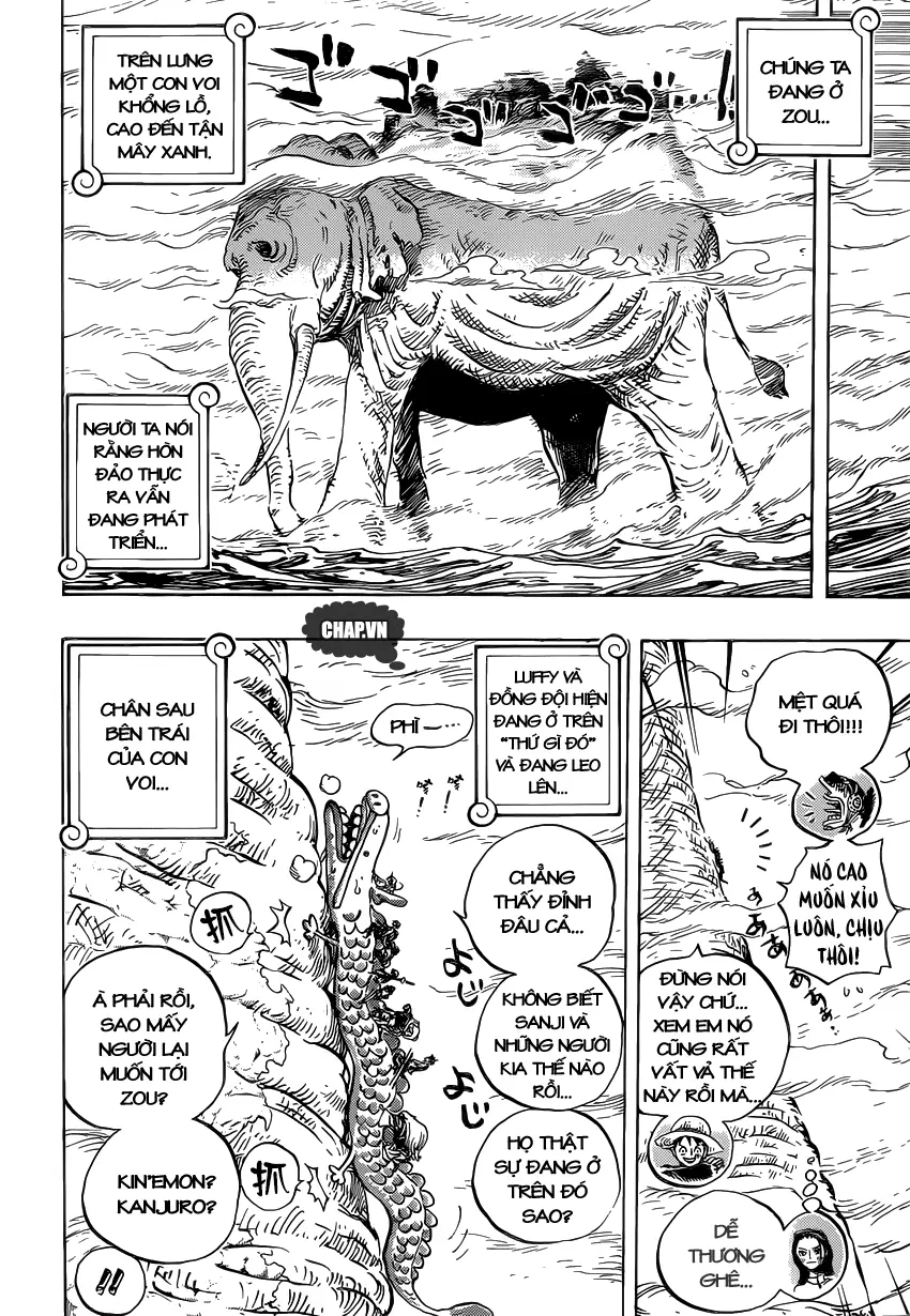 One Piece chương 803, trang 12