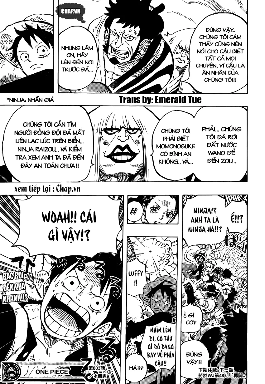 One Piece chương 803, trang 13
