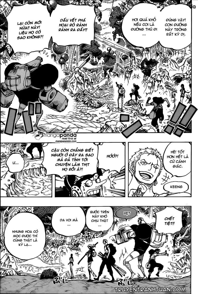 One Piece chương 804, trang 12