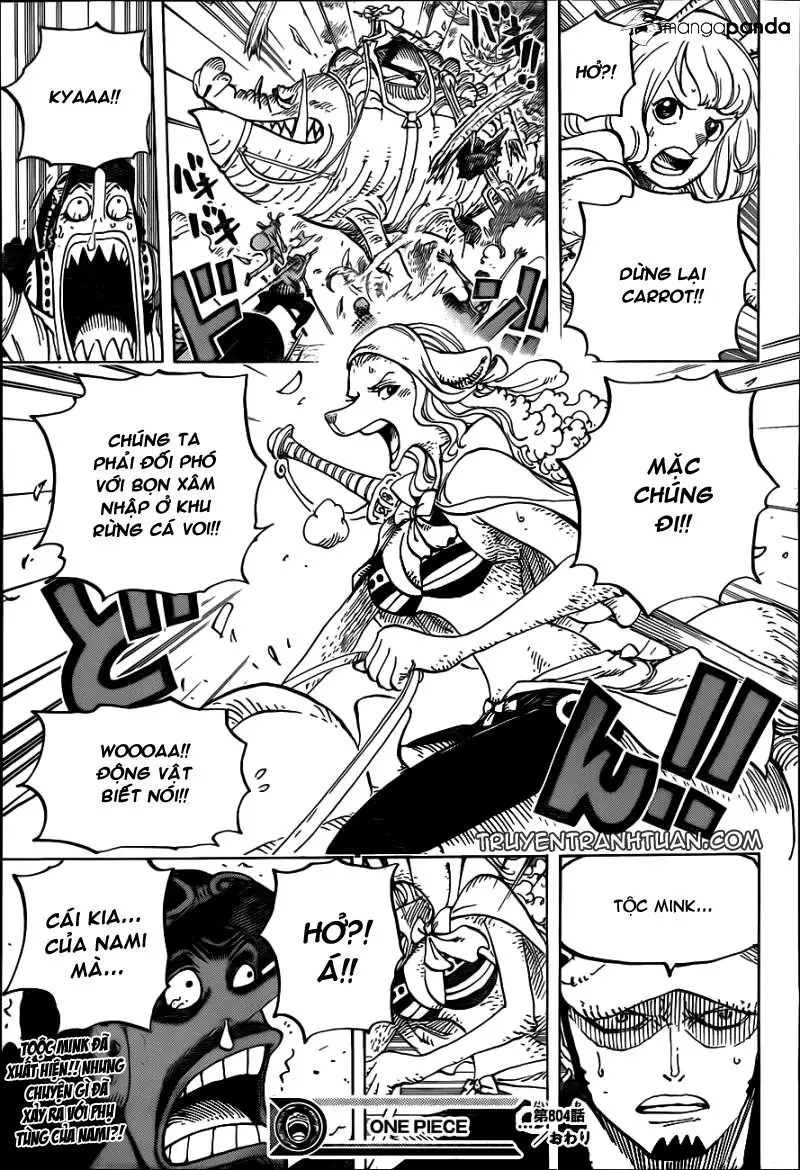 One Piece chương 804, trang 16
